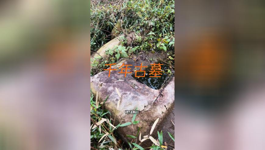 《无所畏惧2》大结局有多解气,3o8Kcm每期玄机资料,成语解释落实可能存在的问题_终极版V5.55