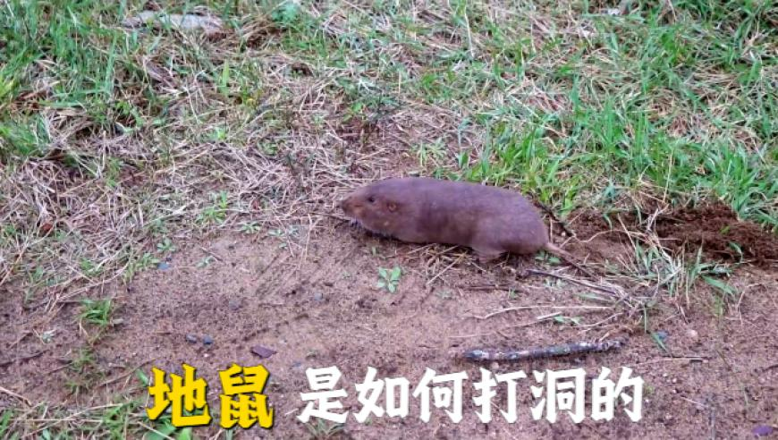 澳门彩霸王资料24549香港,小黄豆破防曲我先用了,广泛的解释落实支持计划_投资版V10.40