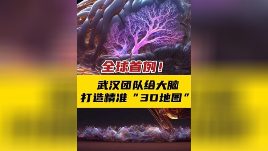 2025年 13位演艺界名人离世,管家婆四肖八码期期中特,多元化方案执行策略_社交版V6.39