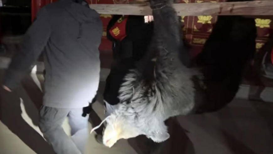 当一个普通女孩不断转行会怎样,香港澳门资料大全正版资料查询2025年,经济性执行方案剖析_AR版V6.100